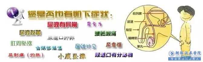马鞍山前列腺炎和前列腺增生的区别是什么?  